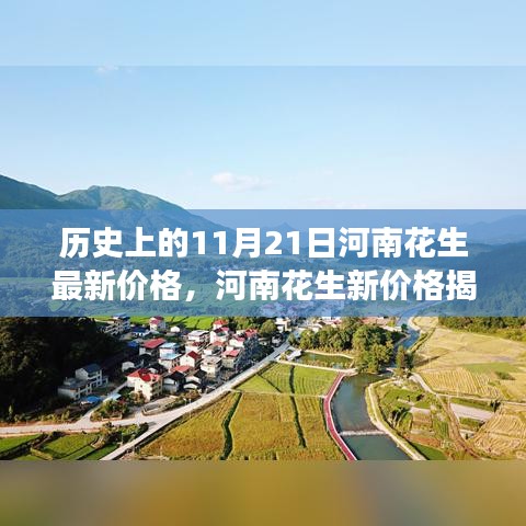 河南花生新價格揭秘與探尋自然美景之旅的獨家報道