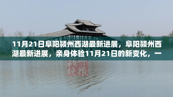 阜陽潁州西湖最新進展揭秘，親身體驗11月21日新變化之旅