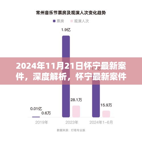 懷寧最新案件深度解析與評測，特性、體驗、競品對比及用戶群體分析（2024年11月版）