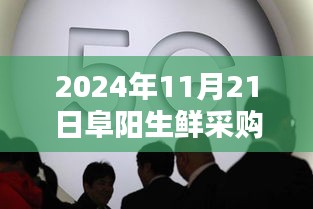 探秘阜陽小巷深處的生鮮奇緣，最新招聘挑戰(zhàn)等你來！