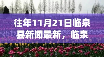 往年11月21日臨泉縣新聞最新，臨泉縣新聞最新動態(tài)，深度解析往年11月21日新聞資訊
