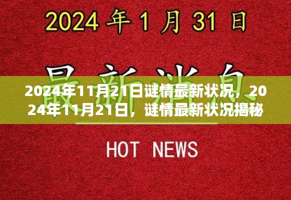 揭秘，2024年11月21日謎情最新動態(tài)揭曉！