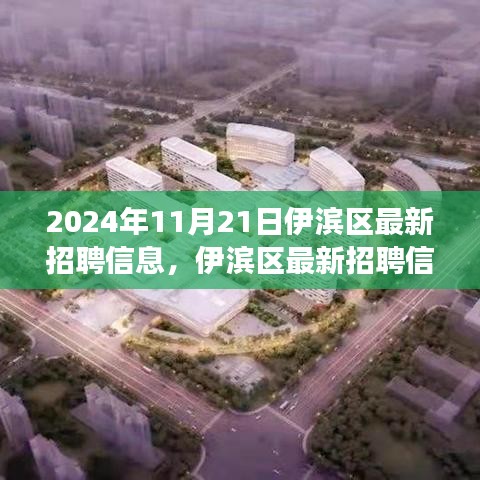 2024年11月21日伊濱區(qū)最新招聘信息，伊濱區(qū)最新招聘信息發(fā)布——職場人的新機遇（2024年11月21日）