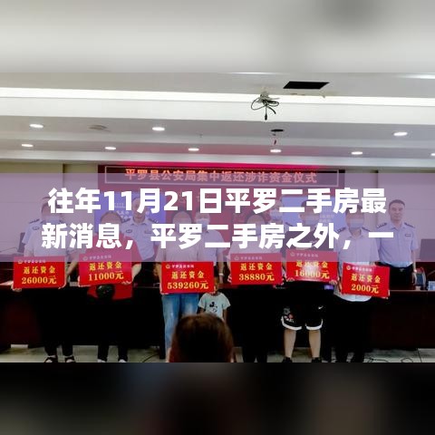 往年11月21日平羅二手房最新消息，平羅二手房之外，一場尋找內心平靜的綠色探索之旅