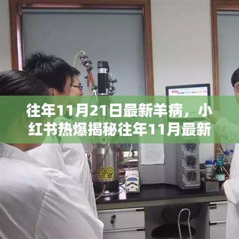 揭秘往年11月最新羊病動態，小紅書熱爆，養羊人必備知識速遞！