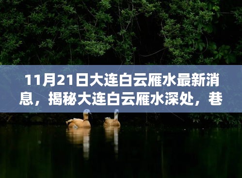 大連白云雁水深處獨特風(fēng)味小店揭秘，最新消息與巷弄風(fēng)情體驗