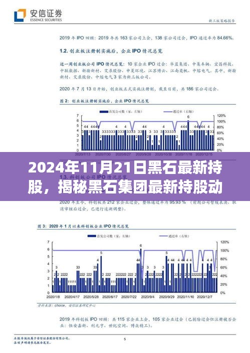 揭秘黑石集團最新持股動向，聚焦未來投資趨勢（2024年黑石持股年報解析）