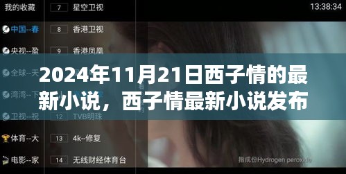 西子情最新小說發布，文學盛宴與個人觀點探討