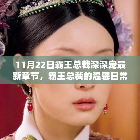 11月22日霸王總裁深深寵最新章節，霸王總裁的溫馨日常，11月22日的深深寵愛新篇章