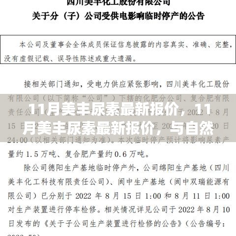 11月美豐尿素最新報價，與自然美景相遇，內心平和之旅的啟程