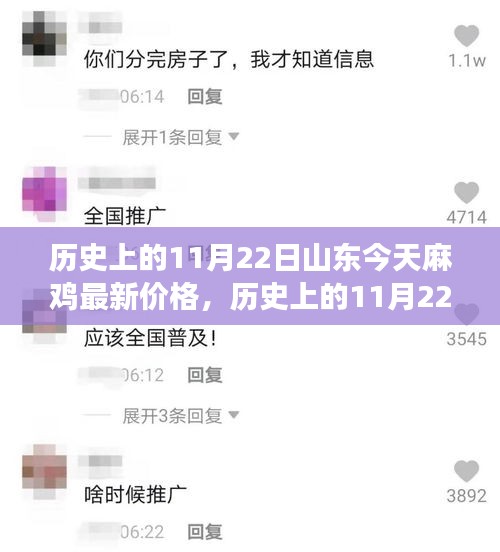 歷史上的11月22日山東麻雞價(jià)格演變及今日市場分析，最新價(jià)格與市場趨勢探討
