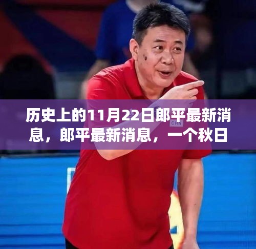 歷史上的11月22日郎平最新消息，郎平最新消息，一個(gè)秋日暖陽下的溫馨故事
