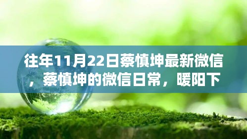 蔡慎坤微信日常分享，暖陽下的友情與家的溫馨時刻
