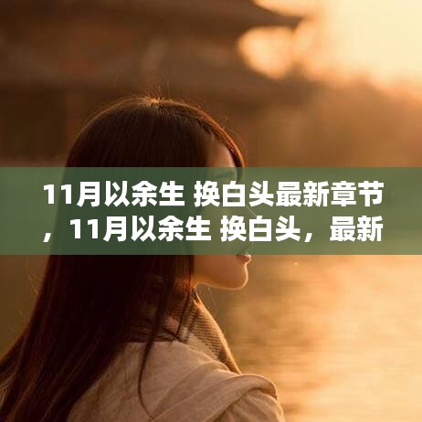 11月以余生 換白頭，情感博弈與深度思考的新篇章