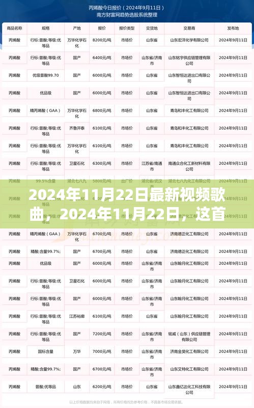 2024年11月新歌風(fēng)潮，引領(lǐng)時(shí)代風(fēng)潮的全新視頻歌曲解析