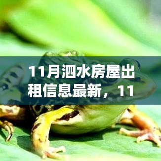 11月泗水房屋出租信息最新，11月泗水房屋出租背后的故事，變化中的學(xué)習(xí)，自信與成就感的旅程