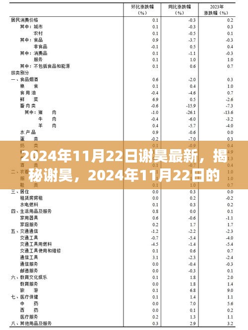 探索未知之旅，謝昊揭秘新篇章，揭秘未知的魅力之旅，2024年11月22日更新