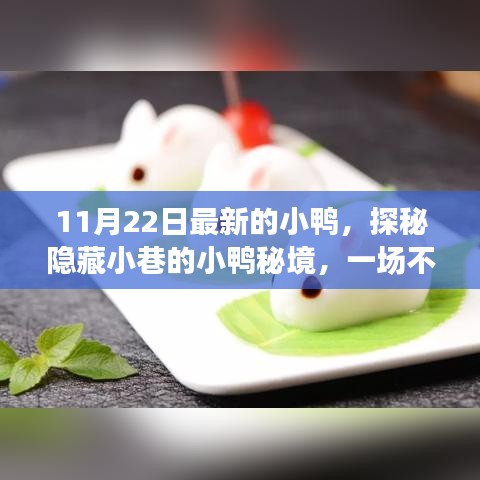 探秘小鴨秘境，美食冒險之旅啟程在即