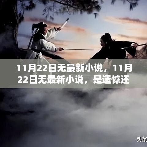 11月22日無最新小說，遺憾還是期待？
