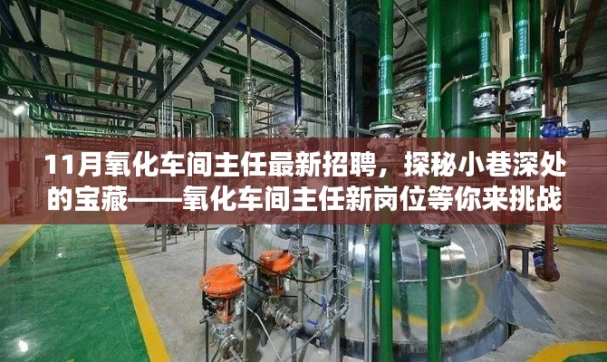 探秘小巷深處的寶藏，全新氧化車間主任職位等你來挑戰！招聘啟事揭秘！