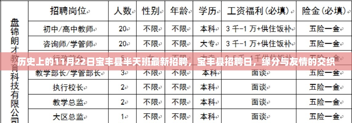 歷史上的招聘日，寶豐縣半天班最新招聘與友情交織的緣分