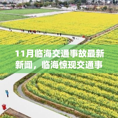 臨海交通事故最新動態，十一月事故震驚小紅書社區