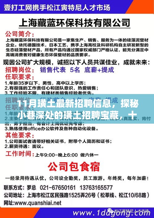 揭秘十一月璜土最新招聘寶藏，小巷深處的職業機會大解密