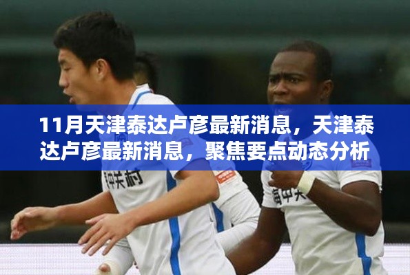 天津泰達盧彥最新消息聚焦與分析，動態分析要點揭秘