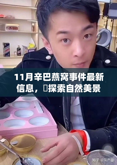 辛巴燕窩事件最新進展與探索自然美景之旅，背后的寧靜啟示