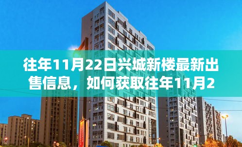 往年11月22日興城新樓最新出售信息獲取指南，詳細步驟解析