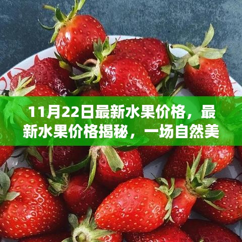 11月22日最新水果價格，最新水果價格揭秘，一場自然美景的治愈之旅，啟程尋找內心的寧靜與平和
