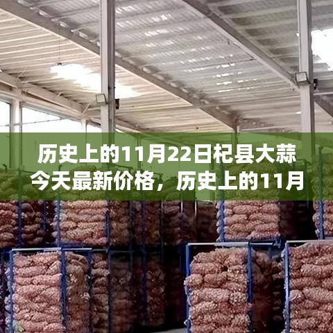 歷史上的11月22日杞縣大蒜價格走勢及今日最新價格分析