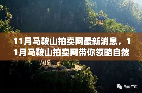 11月馬鞍山拍賣網，自然美景之旅，啟程尋找內心平靜