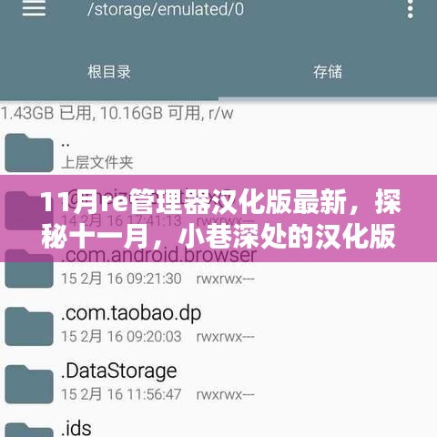 探秘十一月小巷深處的漢化版Re管理器背后的獨特小店，最新Re管理器漢化版揭秘