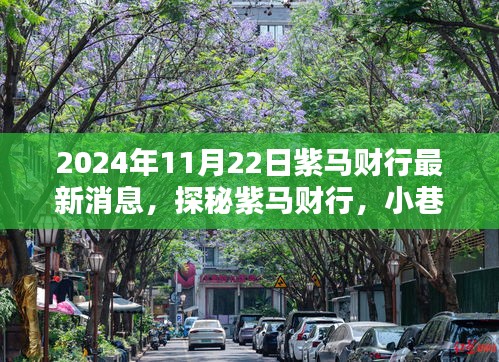 紫馬財行最新動態揭秘，小巷深處的獨特風味，2024年全新發現