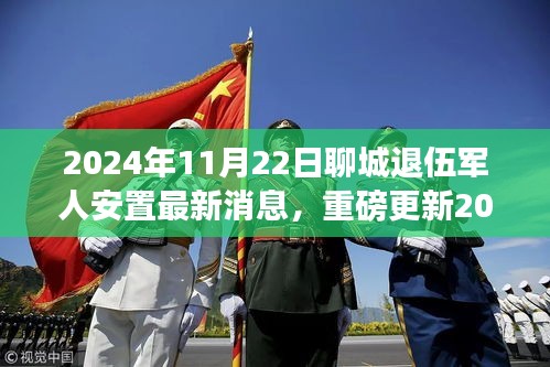 揭秘2024年聊城退伍軍人安置最新消息，全方位解讀政策與動態