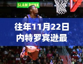 內特羅賓遜新篇章揭秘，心靈覺醒的自然探秘之旅（11月22日最新狀況）
