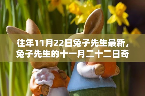 兔子先生十一月二十二日的奇遇記，友情、溫馨與陪伴的力量