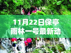 揭秘保亭雨林一號最新動態(tài)，科技革新引領(lǐng)未來生活新紀(jì)元！