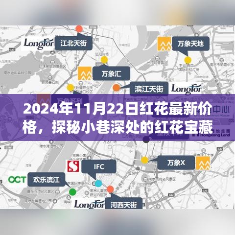 探秘紅花寶藏，揭秘2024年紅花最新價格！