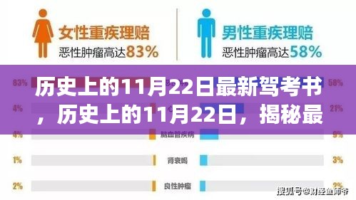 揭秘最新駕考書籍發(fā)布歷程，歷史上的11月22日回顧與展望