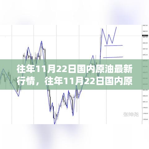 往年11月22日國內原油市場深度解析，行情走勢、多方觀點碰撞與個人立場闡述