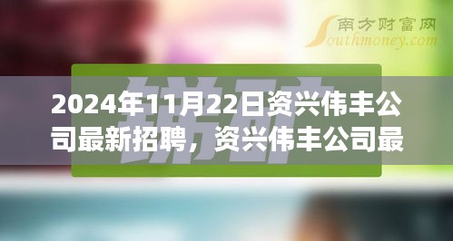 資興偉豐公司最新招聘動態及人才戰略展望（2024年11月）