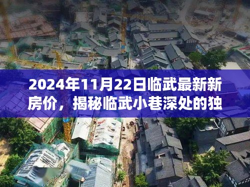 2024年11月22日臨武最新新房價，揭秘臨武小巷深處的獨特小店，探索最新房價與未知的美好