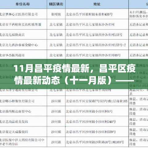 昌平區疫情最新動態十一月版，防控進展、要點解析及科普知識普及