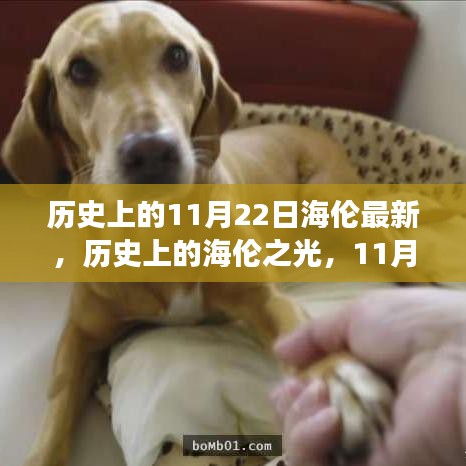 海倫之光，歷史上的蛻變與成長之路，自信書寫未來的11月22日紀念時刻