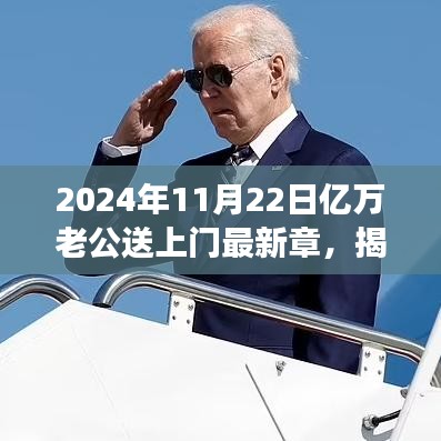億萬老公送上門，情感與命運的邂逅揭秘最新章節故事（2024年11月22日）