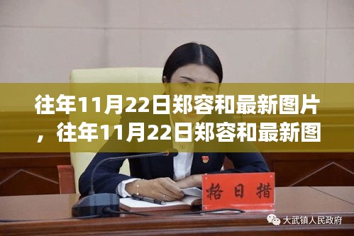 往年11月22日鄭容和最新圖片，聚焦明星魅力的瞬間風采