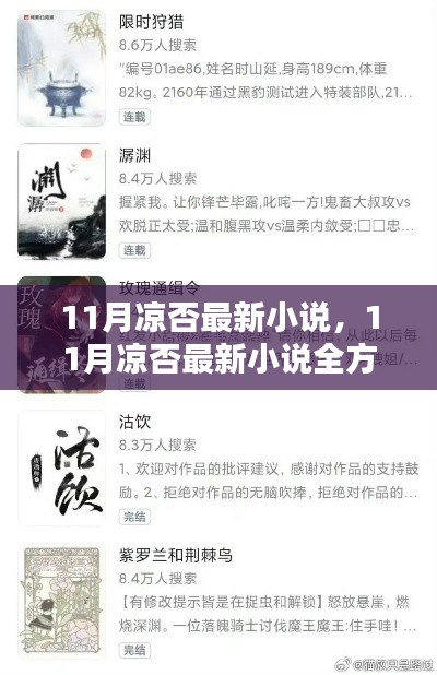 11月涼否最新小說測評與介紹