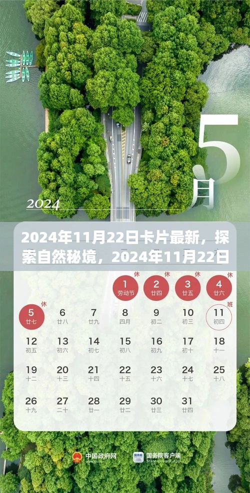 探索自然秘境，最新卡片引領心靈之旅